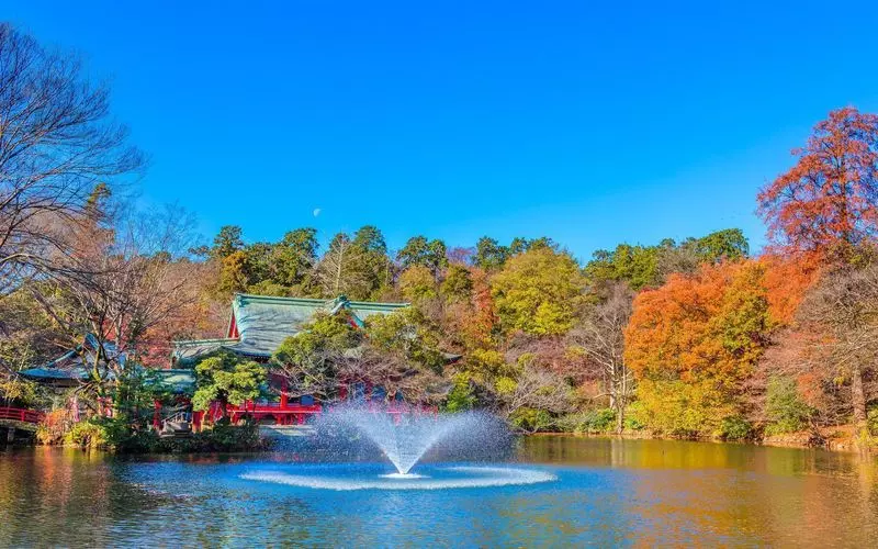 吉祥寺のパワースポット！「お茶の水」と「弁財天」 1枚目