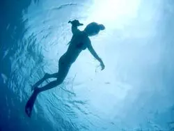 絶景ハワイ【ハナウマ湾】環境保護されたクリアな海でシュノーケル♡