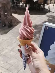 【江ノ島】のんびりぶらり旅♪湘南の定番スポットを巡る