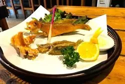 茅ヶ崎ビーチで手ぶら釣り♪女性・パパに嬉しいサービスてんこ盛り