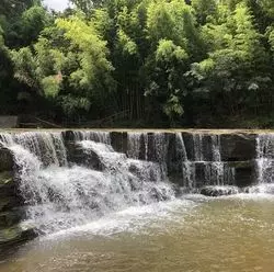【兵庫】筆者おすすめ！「黒滝」と雰囲気の異なるランチのお店2選◎