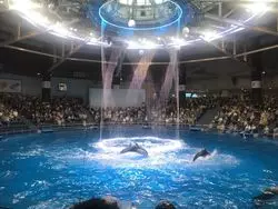 【リピートしたい】近代的水族館♪アクアパーク品川