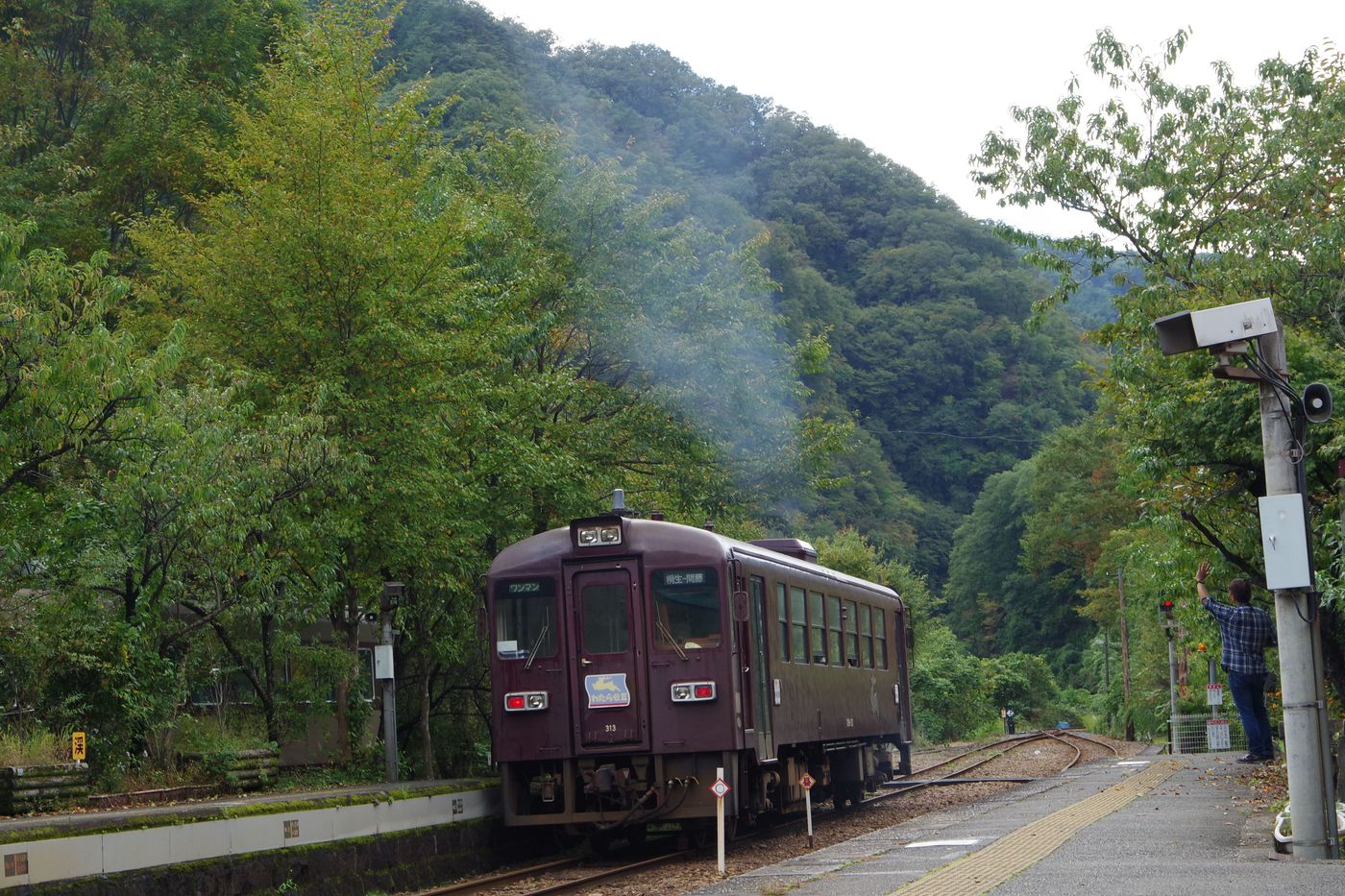 の画像