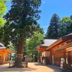 【パワースポット】安曇野の穂高神社と、素敵なカフェはいかが？