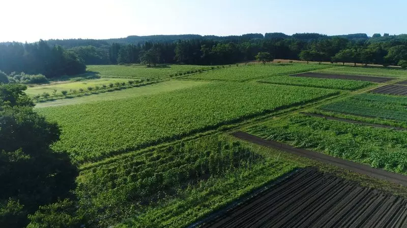 「ホテルコンチネンタル府中」自営農場直送!無農薬×無化学肥料の野菜やブランド卵のバイキング【PR】 2枚目
