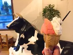 【北海道グルメ】札幌市のジェラート店「GELABO」をご紹介！