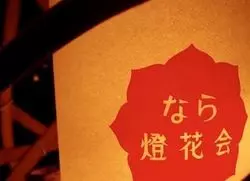 夏のメインイベントはこれで決まり♪夜のお散歩にはぜひ奈良へ！