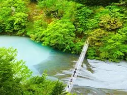 【静岡】シャッターが止まらない！夢の吊り橋でインスタ映え♪