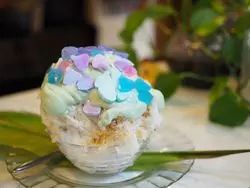 フォトジェニックを通り越してもはやアート！北品川にあるかき氷♡