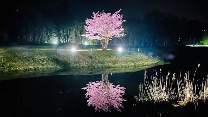 夜桜×星空×デトックスウォーターでリフレッシュ! 1枚目