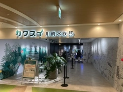 都会で出会う新しい生きもの体験！『カワスイ 川崎水族館』へ行こう