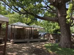 【兵庫】自然がいっぱい！犬も子供も楽しめるカフェ♪