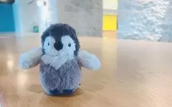 スカイツリー近くのすみだ水族館はどんな施設？チケット料金や見どころをご紹介