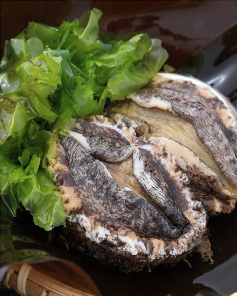 長寿を祝う記念プラン!北海道の新鮮な食材を活かした食事を堪能 2枚目