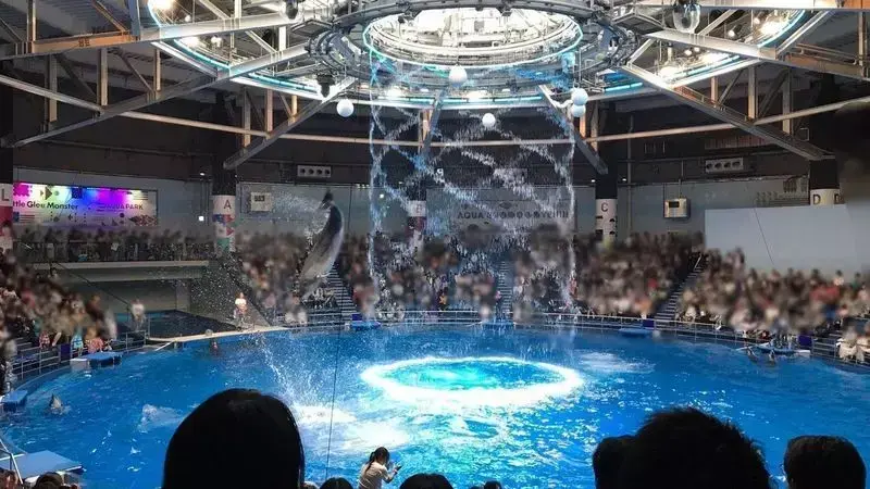の画像
