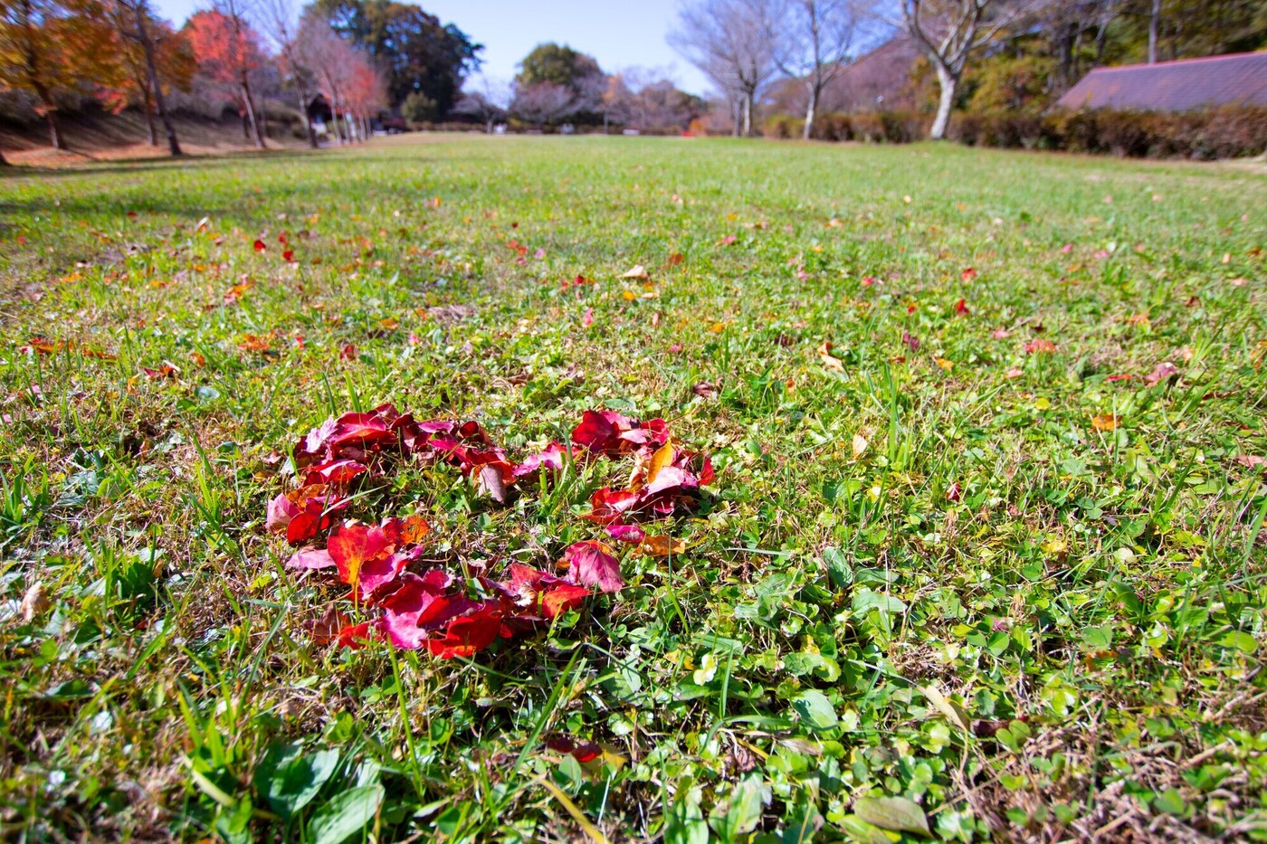 【関東】ゴールデンウィークにおすすめの穴場スポット！混雑を避けたい方は必見の画像
