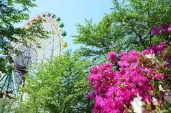 子どもとの大切な時間を群馬で♪おすすめレジャースポット4選！