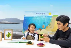 海藻の現状や大切さを学ぶ旅育プログラム「海藻の学校」！水中ドローンで海の中を調査