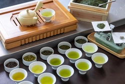 お茶処・静岡で春を満喫する「静岡 みるめ茶滞在」！お茶にまつわる体験を楽しむ滞在プラン