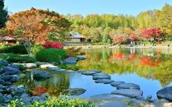 【立川】紅葉デートは"国営昭和記念公園"で！見頃と周辺情報も◎