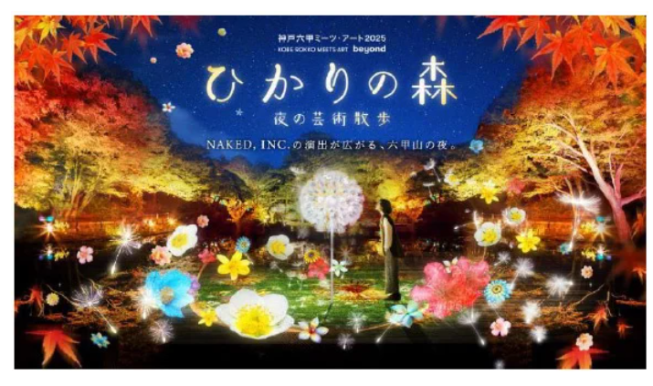 【昼も夜もアート体験】神戸六甲ミーツ・アート2025 beyond｜夜のライトアップ「ひかりの森」も開催！の画像