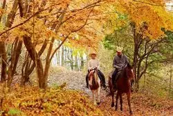 ホーストレッキングを紅葉に染まる富士山麗で。優雅なひとときを過ごそう！