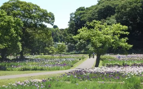千葉の公園で遊ぼう 子供連れからデートにおすすめスポット14選 Aumo アウモ