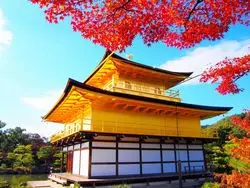 【京都の紅葉が有名な寺院2020】絶景揃いの紅葉特集♪