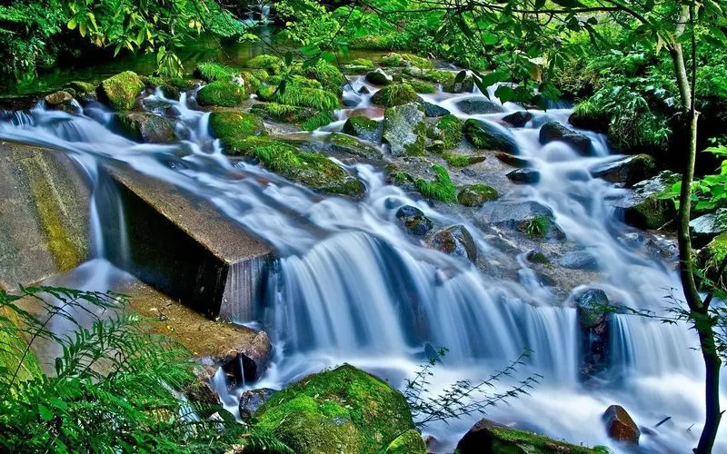 11. 福岡の幻想的な渓流！ドライブがてら滝を見に行こう【野河内渓谷自然歩道】 1枚目