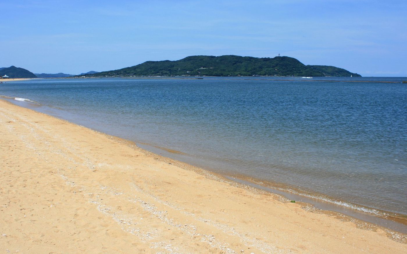 の画像