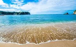 【2025年最新】勝浦の海を堪能！海水浴場＆グルメ＆海中公園情報　