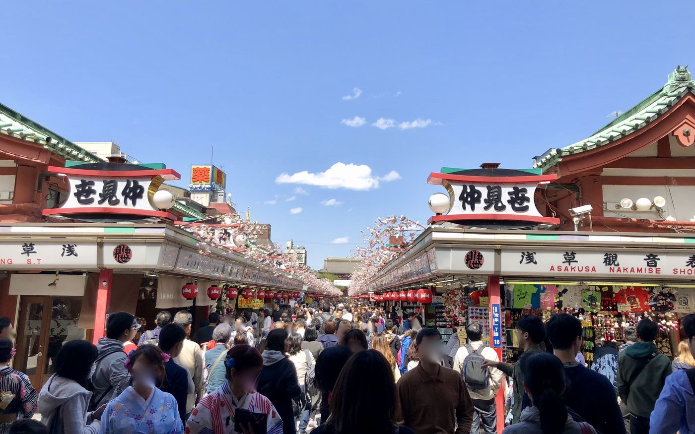 の画像