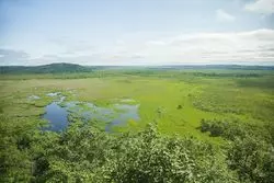 【完全版】北海道の釧路湿原を大特集！魅力＆楽しみ方を徹底ガイド♡