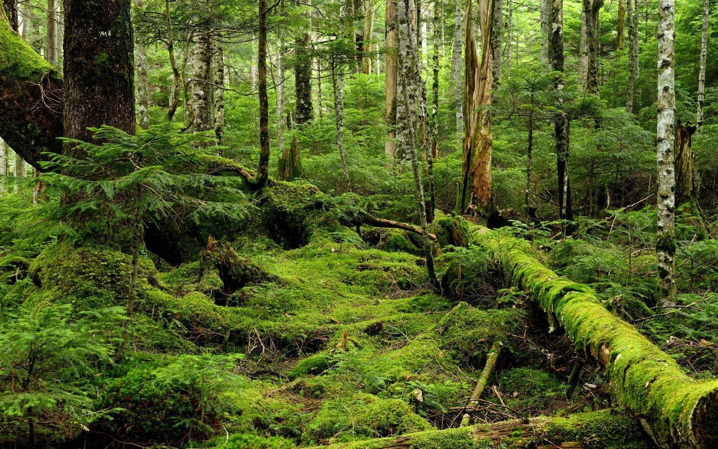 【長野の絶景】そろそろ旅に出ない？長野ひとり旅の推しプラン4選♡の画像