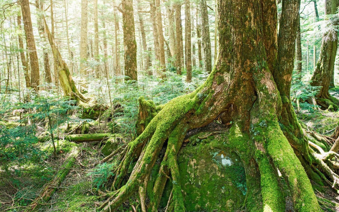 【長野の絶景】そろそろ旅に出ない？長野ひとり旅の推しプラン4選♡の画像