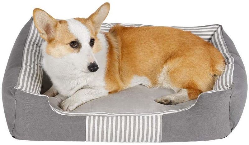 洗える犬用ベッド12選 選び方や便利 おしゃれな商品をご紹介 Aumo アウモ