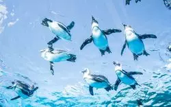 水族館に行くならサンシャイン池袋へ！天空のオアシスで心躍る体験を