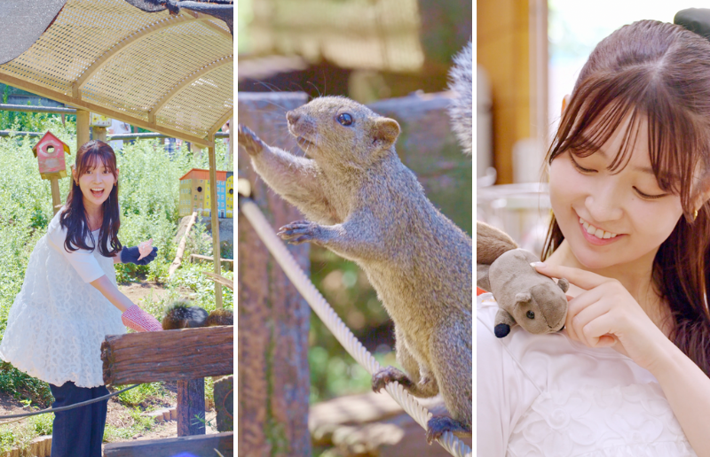 町田で1日中楽しむ欲張り旅！絶景×グルメ×動物とのふれあいを満喫【アンケートに答えて抽選でアマギフプレゼント】の画像