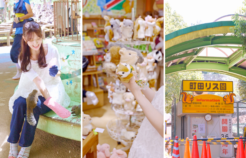 町田で1日中楽しむ欲張り旅！絶景×グルメ×動物とのふれあいを満喫【アンケートに答えて抽選でアマギフプレゼント】の画像