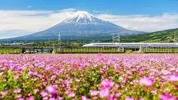 静岡旅行をプランするなら♪ここがおすすめのスポット！！