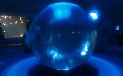 「新江ノ島水族館」でクラゲを愛でたい。幻想的な世界を徹底解説！
