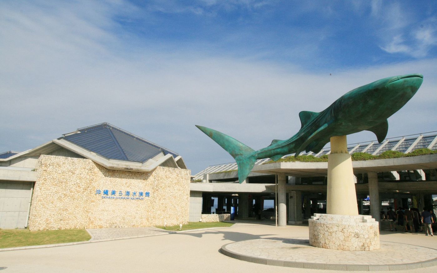 水族館でジンベイザメを見たい！どこで見られるか紹介♪の画像