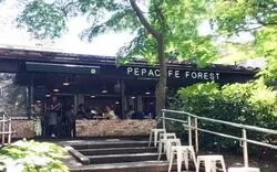 吉祥寺でご飯を食べるなら！本当におすすめなお店5選♪