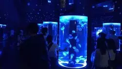 品川の2大水族館でデートしよう！見どころや周辺スポットをご紹介！