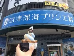 【静岡】観光スポットが目白押し！沼津に行ってみよう！
