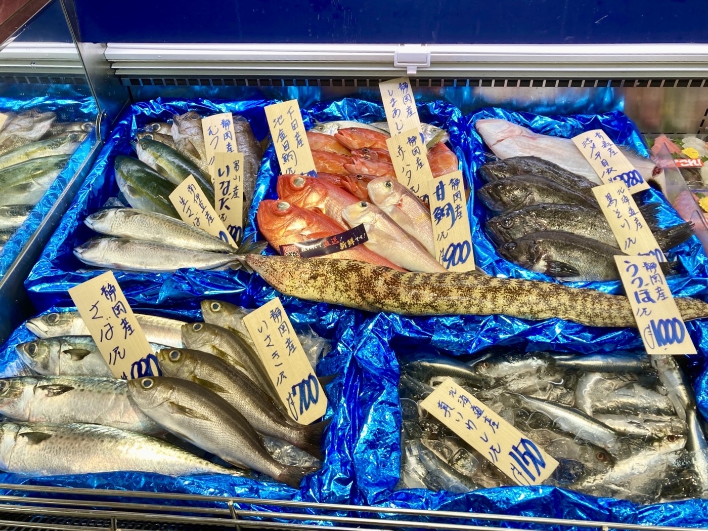 新鮮魚介を気軽に楽しむ！サカナタベタイ MEGAドン・キホーテ本八幡店の画像