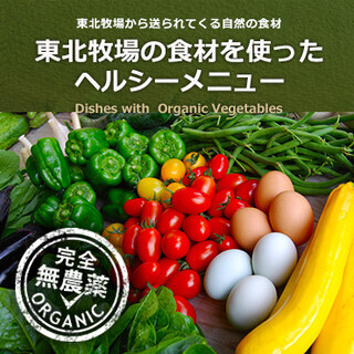 世界の珍しい料理が楽しめる『サクラカフェ 日暮里』！ペット同伴OKのテラス付きレストランの画像