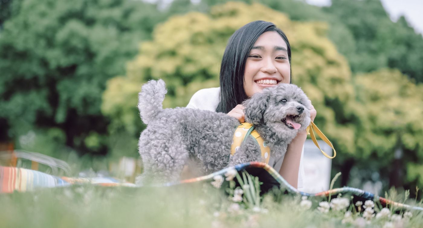 犬用ハーネスは「Ethical Door」がおすすめ！ベスト型でペットにやさしいハーネスの画像