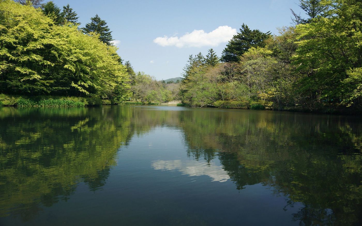 【長野の絶景】そろそろ旅に出ない？長野ひとり旅の推しプラン4選♡の画像