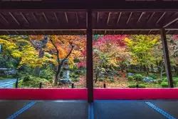 【京都へカメラと！】秋の京都・お寺さん紅葉めぐりツアー☆